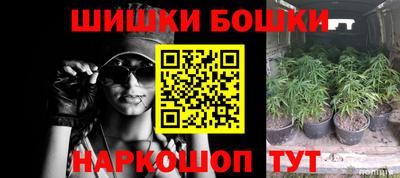 прущие крисы Брянск