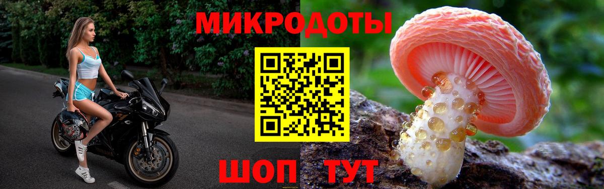 Баксан  Галлюциногенные грибы MAGIC MUSHROOMS  Вход с VPN 